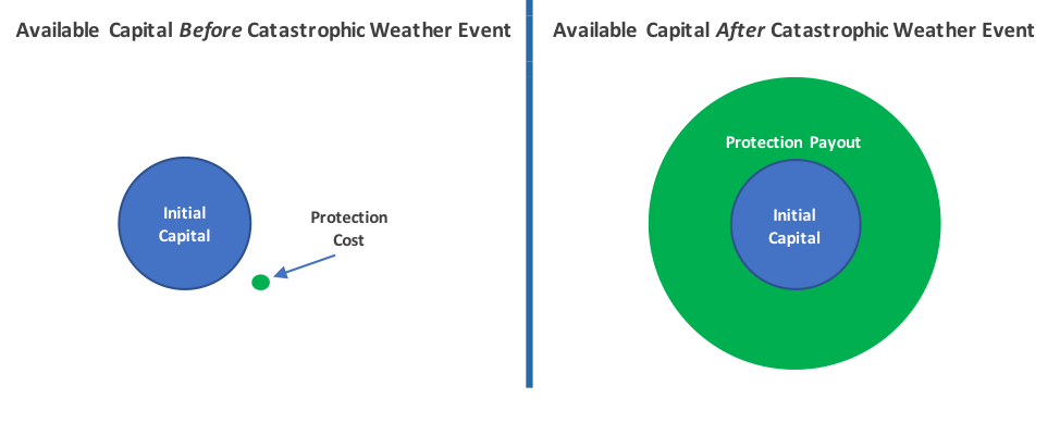 Catastrophic Protection Image 3