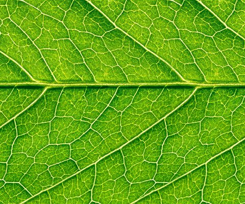 Computer Weekly – Green tech needed for post-Covid economic recovery