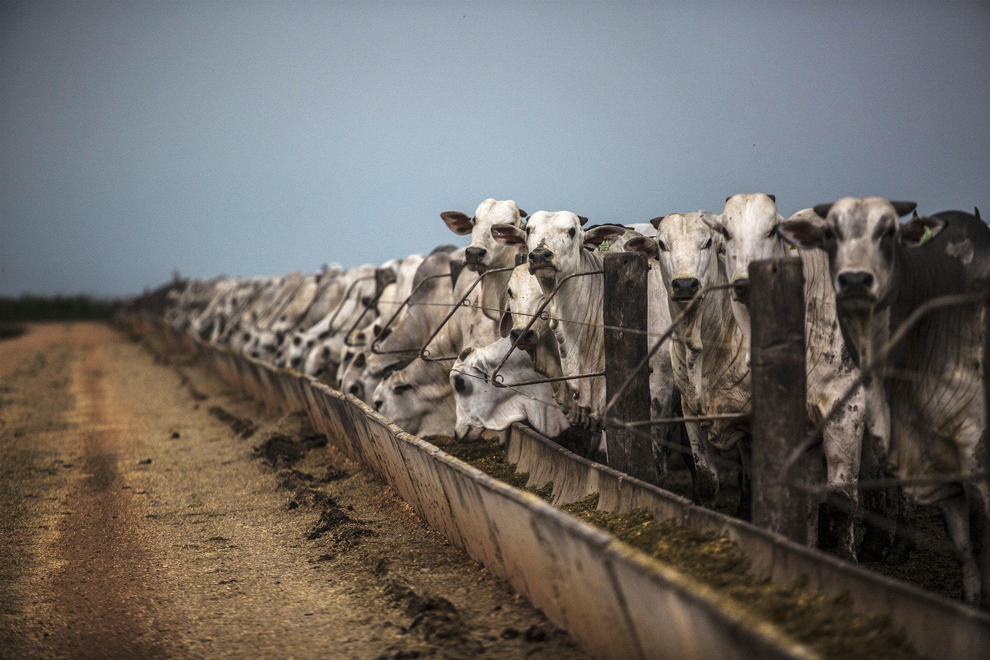 NBC – Soaring methane emissions threaten to put climate change goals out of reach