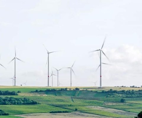 World Economic Forum – 5 reasons we should be optimistic about the world’s clean energy future